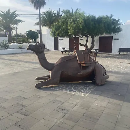 Volcano View Appartement